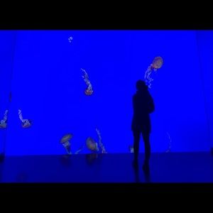 Meet your Posher, Ally